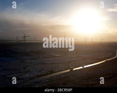 Whitelee Wind Farm in Schottland – der größte Onshore-Windpark Großbritanniens, der erneuerbare Energie vor nebeliger Winterkulisse erzeugt Stockfoto