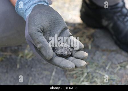 Bayreuth, Deutschland. Mai 2025. Die Überreste einer Handgranate liegen in der Hand des Blasters. Ein Schüler hatte eine amerikanische Handgranate aus dem Zweiten Weltkrieg gefunden, die von einem Abbruchteam sicher detoniert wurde. Darlegung: Daniel Löb/dpa/Alamy Live News Stockfoto