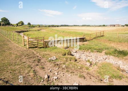 Hellifield Beck läuft im Mai 2025 trocken. Neue Zäune um den Beck mit einem schaffesten Zäune über dem Beck in Erwartung des Wasserflusses. Stockfoto