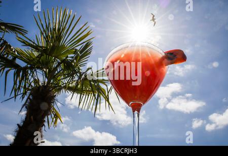 Hamburg, Deutschland. Mai 2025. Ein Martini mit Passionsfrucht (Pornstar Martini oder Maverick Martini) sitzt auf einem Tisch in einer Strandbar am Hamburger Hafen. Quelle: Christian Charisius/dpa/Alamy Live News Stockfoto