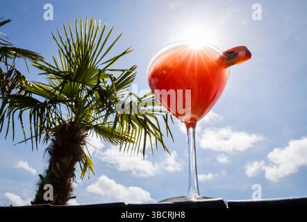 Hamburg, Deutschland. Mai 2025. Ein Martini mit Passionsfrucht (Pornstar Martini oder Maverick Martini) sitzt auf einem Tisch in einer Strandbar am Hamburger Hafen. Quelle: Christian Charisius/dpa/Alamy Live News Stockfoto