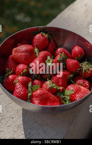 Eine Edelstahlschale gefüllt mit Reifen Erdbeeren, die draußen auf einer Steinoberfläche bei natürlichem Licht steht. Stockfoto