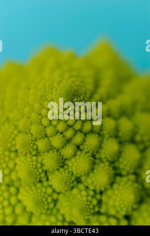 Romanesco Blumenkohl Nahaufnahme Stockfoto