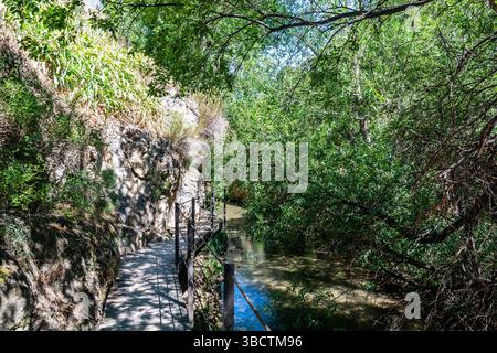Ein schmaler Ufersteg schlängelt sich durch dichtes grünes Laub und felsige Klippen auf dem schattigen Albarracin Trail, der im Sommer zu einer entspannten Erkundung einlädt. Stockfoto
