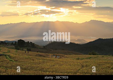 Wunderschöne Landschaft der Reisfelder auf Terrassen von Ban Pa Pong Piang, Mae Chaem, Provinz Chiang Mai, Thailand Stockfoto