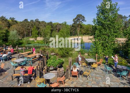 Besucher vor dem Tiergehege genießen einen Drink auf der Terrasse des Restaurants im Burgers Zoo, zoologischer Garten in Arnhem, Gelderland, Niederlande Stockfoto