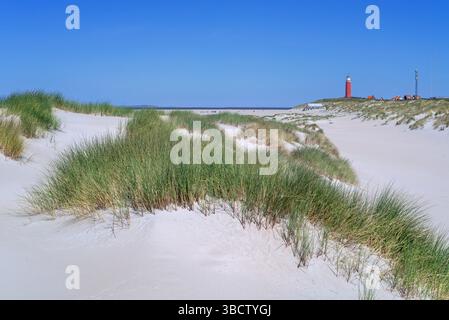Eierland Lighthouse in der Nähe von de Cocksdorp an der nördlichsten Spitze der Insel Texel im Wattenmeer, Westfriesische Inseln, Nordholland, Niederlande Stockfoto