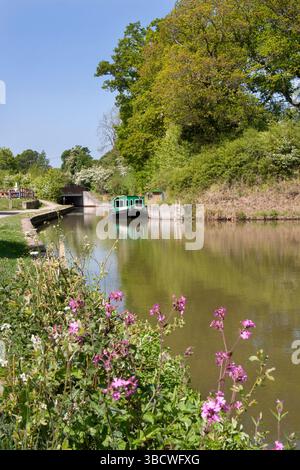 Wey und Arun Kanal im Loxwood Lock Canal Centre, Billingshurst, West Sussex, England Stockfoto
