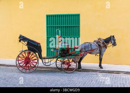 Kuba, Havanna, Habana Vieja, Pferdekutsche. Stockfoto