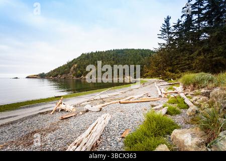 Bundesstaat Washington. Strand im Deception Pass State Park. Stockfoto