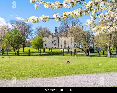 Eine ruhige Parkszene mit blühenden Blumen, üppigem grünem Gras und Bäumen. Im Hintergrund ist ein historisches Gebäude teilweise sichtbar, umgeben von b Stockfoto