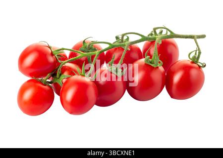 Geclusterte Piccadilly-Kirschtomaten isoliert auf weiß mit Schnittpfad im Preis inbegriffen Stockfoto