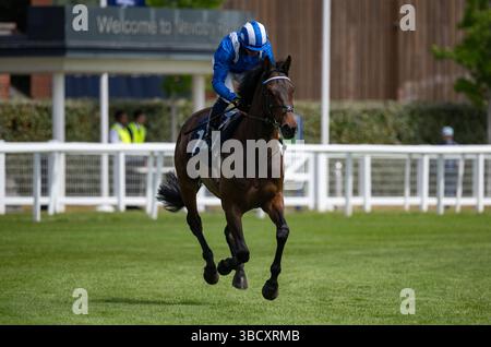 Al Aasy und Jim Crowley starten die Gruppe 3 Sky Sports Racing Aston Park Stakes in Newbury. Credit JTW equine Images / Alamy Stockfoto