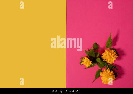 Kreative Komposition aus orangen Blumen und rosa Hintergrund. Flache Blumenlandschaft. Stockfoto