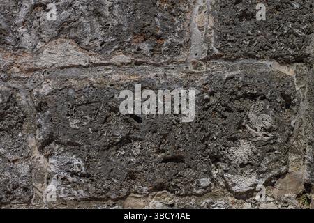 Detaillierte Nahaufnahme von stark verwittertem Naturstein mit komplizierten Texturen, Erosionsmustern und möglichen fossilen Einschlüssen Stockfoto
