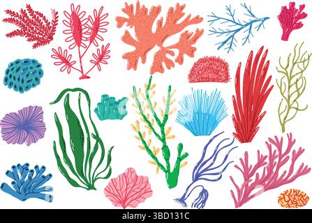 Farbenfrohe Algen- und Korallendarstellungen, die die Vielfalt des Ocean Life darstellen Stock Vektor