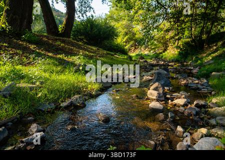 Visegrád, Ungarn - 1. September 2024: Flacher Fluss mit klarem Wasser, das über glatte Steine fließt Stockfoto