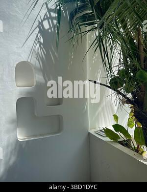 Moderne tropische Architektur mit geometrischen Wandnischen und Palmblättern, die Schatten in natürlichem Sonnenlicht werfen, schaffen einen ruhigen und stilvollen Raum Stockfoto
