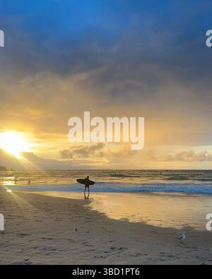 Surfer spazieren am Ufer bei Sonnenaufgang mit goldenem Licht, das auf dem nassen Sand reflektiert, und Wellen, die unter dramatischen Wolken hereinrollen. Stockfoto