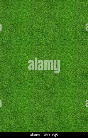 Grasfeld Textur - nahtlose Draufsicht auf ein großes Stück frisch geschnittenes, gesundes, grünes Gras. Kann zum Erstellen eines größeren Hintergrunds nebeneinander angeordnet werden. Stockfoto
