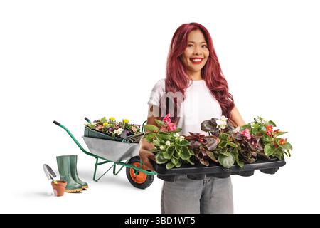 Junge asiatische Frau mit einem Tablett mit Blumentöpfen, Gartenkonzept isoliert auf weißem Hintergrund Stockfoto