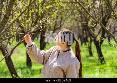 Agrarwissenschaftlerin oder Landwirtin, die blühende Kirschbäume im Obstgarten untersucht, mit Schutzhandschuhen an den Händen und Maske im Gesicht, Coronavirus und Allergie Stockfoto