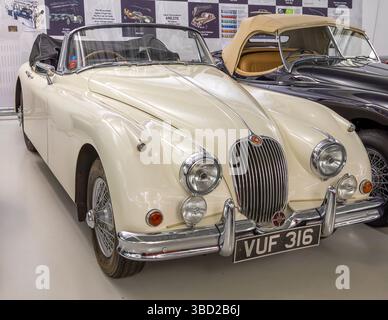 British Motor Museum Stockfoto