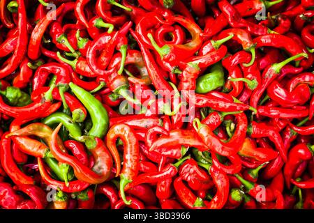 Ein Haufen grüner und roter, heißer Paprika. Hintergrund der heißen Paprika. Stockfoto