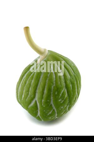 Apfel der Sodomfrucht isoliert auf weiß Stockfoto