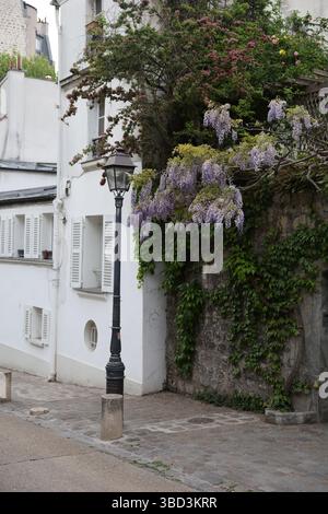 Eine charmante europäische Straßenecke verfügt über ein weißes Gebäude mit Fensterläden, ergänzt durch eine mit Efeu bedeckte Steinmauer, die mit kaskadierenden p Stockfoto