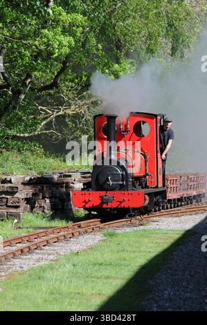 "Elidir" -Shunt an der Gilfach DDU. Stockfoto
