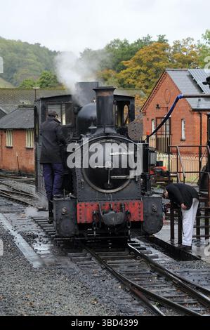 "Der Earl" bei Llanfair Caereinion. Stockfoto