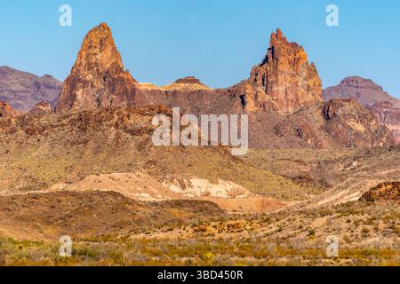USA, Texas, Big Bend National Park. Maultierohrenbildung im Chisos-Gebirge. Stockfoto