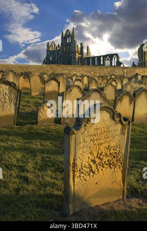 Whitby Abbey mit Grabsteinen im Abendlicht, North Yorkshire Moors National Park, England, Großbritannien, Europa Stockfoto