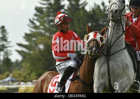 KUMARA, NEUSEELAND, 8. JANUAR 2022: Jockey Kavish Chowdoory und der Sekretär des Kurses bringen seinen Berg vor einem Rennen bei den Gold Nuggets in die Linie Stockfoto