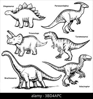 Eine Sammlung von sechs Dinosaurier-Illustrationen, darunter Stegosaurus, Parasaurolophus, Triceratops, Tyrannosaurus, Brachiosaurus, und Velociraptor Stock Vektor