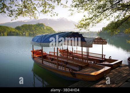Traditionelle Holzboote mit flachem Boden, genannt Pletna, am Bleder See, Bled, Oberkarniola, Slowenien Stockfoto
