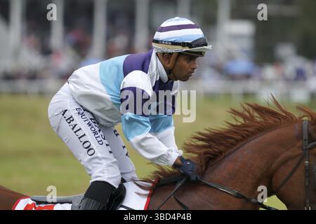 KUMARA, NEUSEELAND, 8. JANUAR 2022: Jockey Akshay Balloo auf dem Feld beim Gold Nuggets Competition auf der Kumara Race Track, 8. Januar 2022 Stockfoto