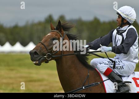 KUMARA, NEUSEELAND, 8. JANUAR 2022: Jockey Madan Singh und sein Berg wärmen sich für ein Rennen beim Golden Nuggets Competition auf der Kumara Race Track auf. Stockfoto