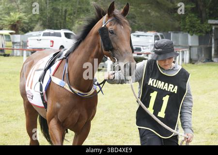 KUMARA, NEUSEELAND, 8. JANUAR 2022: Ein junger Trainer wärmt sein Pferd vor einem Rennen beim Gold Nuggets Competition auf der Kumara Race Track, Janua Stockfoto