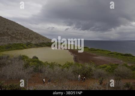 Blick auf die Flamingo Lagune auf Rabida Island, Galapagos Inseln, Pazifik Stockfoto