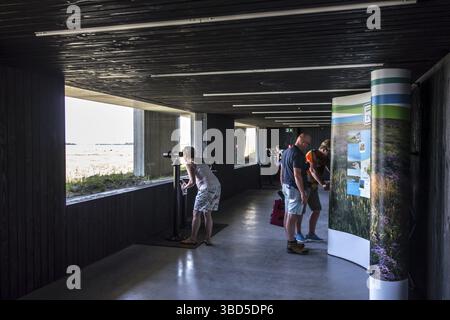 Besucher, die durch ein montiertes Fernglas im Naturpark Zwin, Vogelschutzgebiet in der Nähe von Knokke-Heist, Westflandern, Belgien, blicken Stockfoto