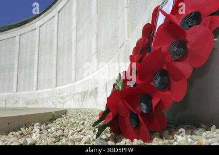 Mohnblumen am Tyne Cot Memorial to the Missing, Commonwealth war Graves Commission Graial Ground for First World war One British Soldiers, West Fland Stockfoto