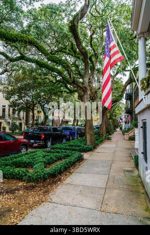 Blick auf die schöne Wohnstraße im historischen Zentrum von Savannah, Georgia Stockfoto