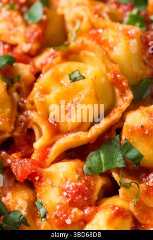 Hausgemachte Tortellini-Pasta mit Tomatensauce und Basilikum Stockfoto