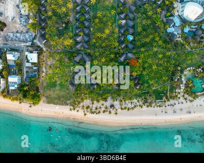 Vertikaler Blick auf das Strandresort, Sand, Liegen und Kokospalmen Stockfoto