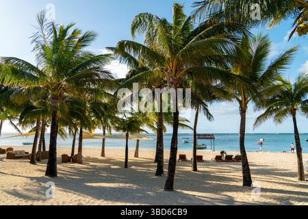 Le Morne, Mauritius - 12. Mai 2024: Hohe Palmen werfen Schatten auf einem sonnigen Sandstrand in der Nähe von ruhigem türkisfarbenem Wasser Stockfoto