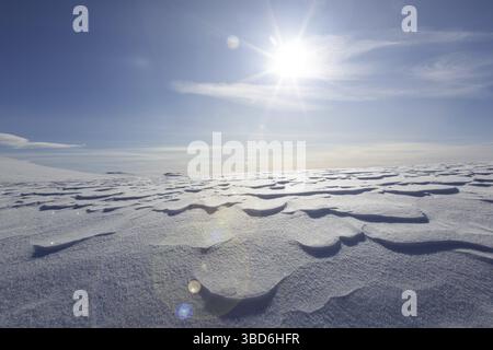 Windbedingte Schneekrusten auf der Tundra im Dovrefjell Sunndalsfjella-Nationalpark im Winter, Norwegen Stockfoto