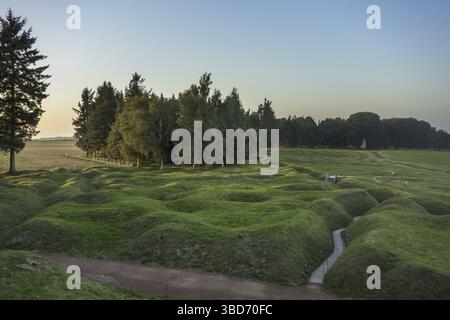 Erhaltenes Schlachtfeld aus dem Ersten Weltkrieg mit Bombenangriffen und Gräben aus dem Ersten Weltkrieg der Schlacht an der Somme im kanadischen Beaumont-Hamel Neufundland Stockfoto