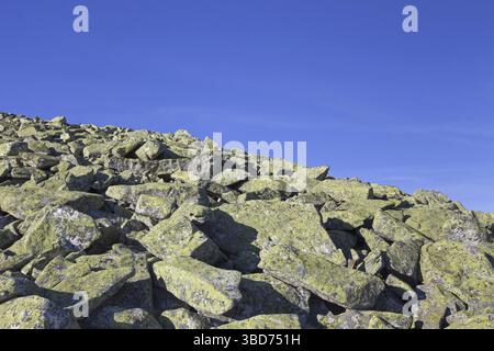 Stein, ausgeführt mit riesigen Felsbrocken bedeckt in Flechten am Berg Lusen, Nationalpark Bayerischer Wald, Bayern, Deutschland Stockfoto